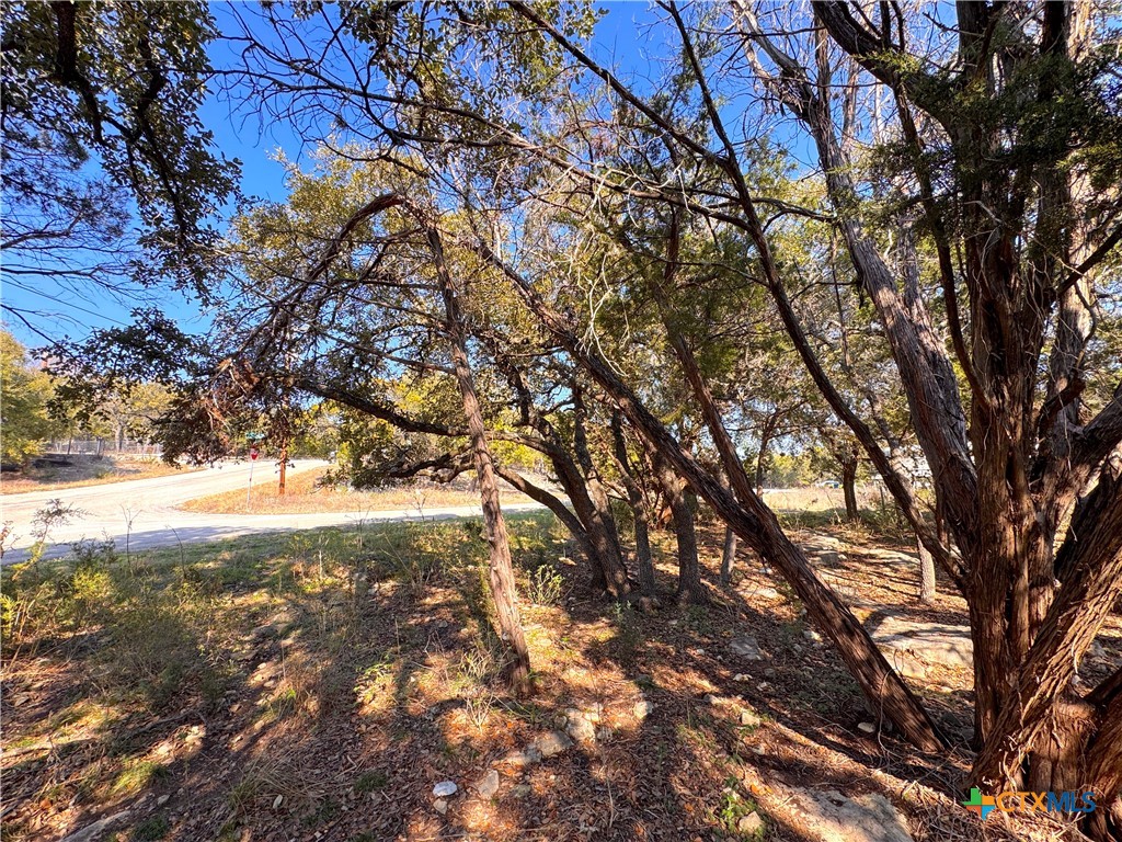 0tbd Westview Drive Property Photo 8