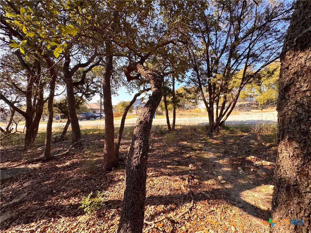 0tbd Westview Drive Property Photo 9