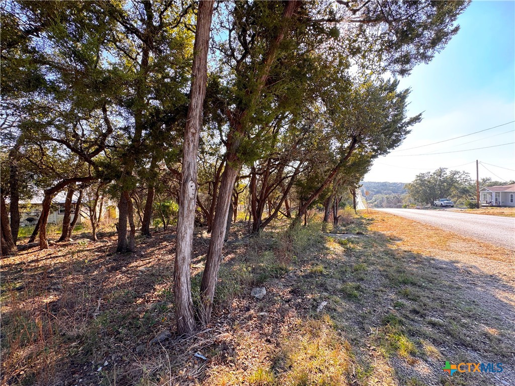 0tbd Westview Drive Property Photo 11