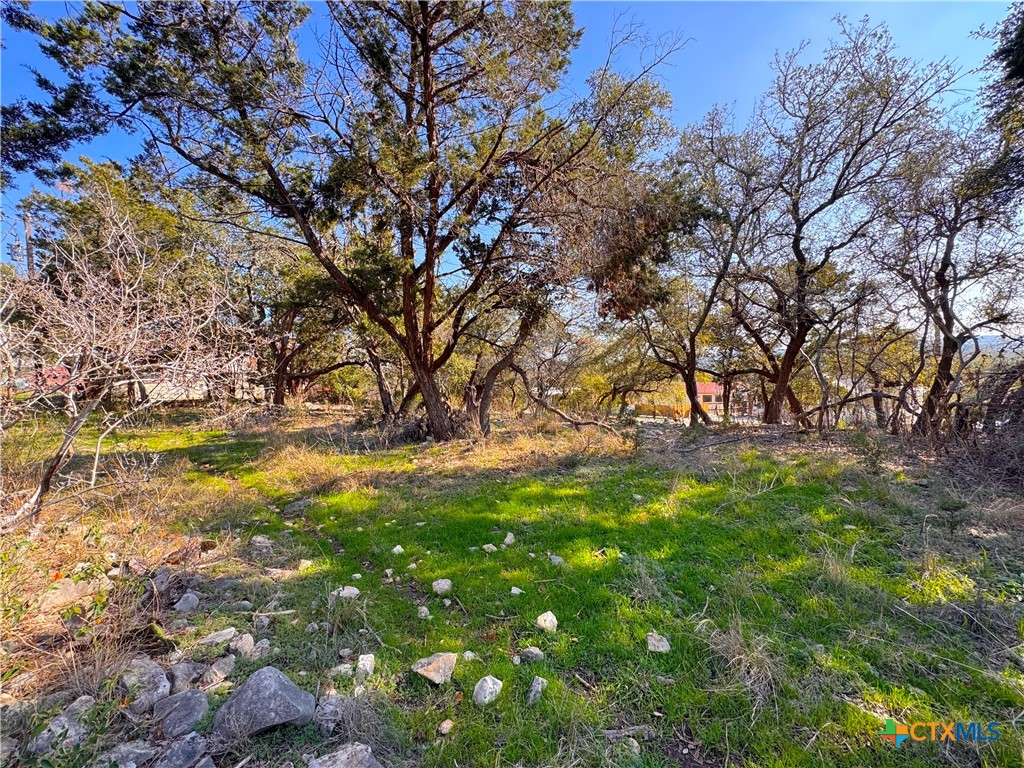 0 Tbd Westview Drive Property Photo 3