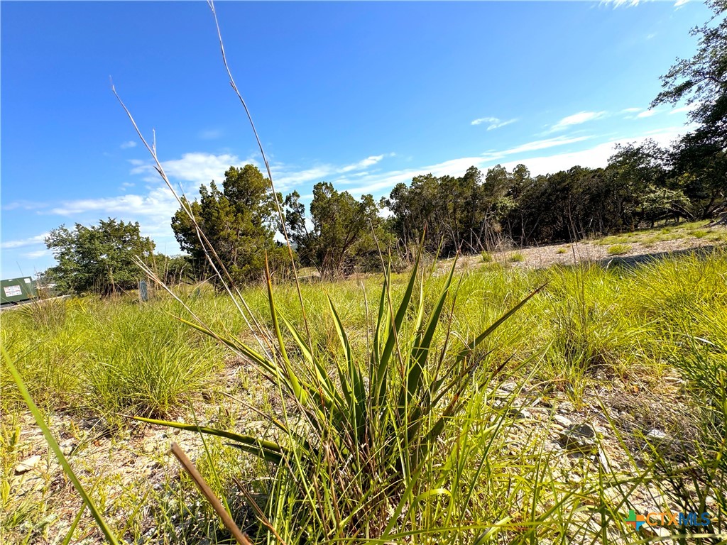 108 Sendera Way Property Photo 2