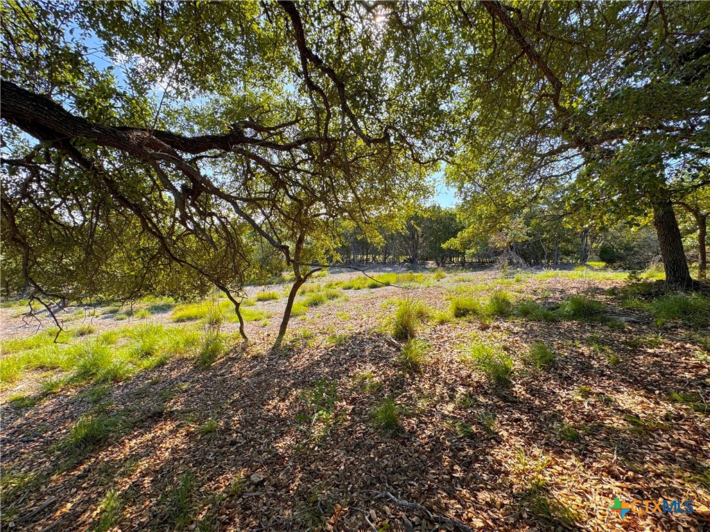 108 Sendera Way Property Photo 6