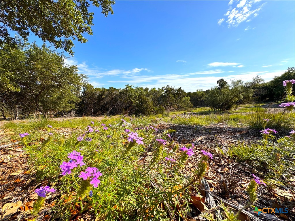 108 Sendera Way Property Photo 7