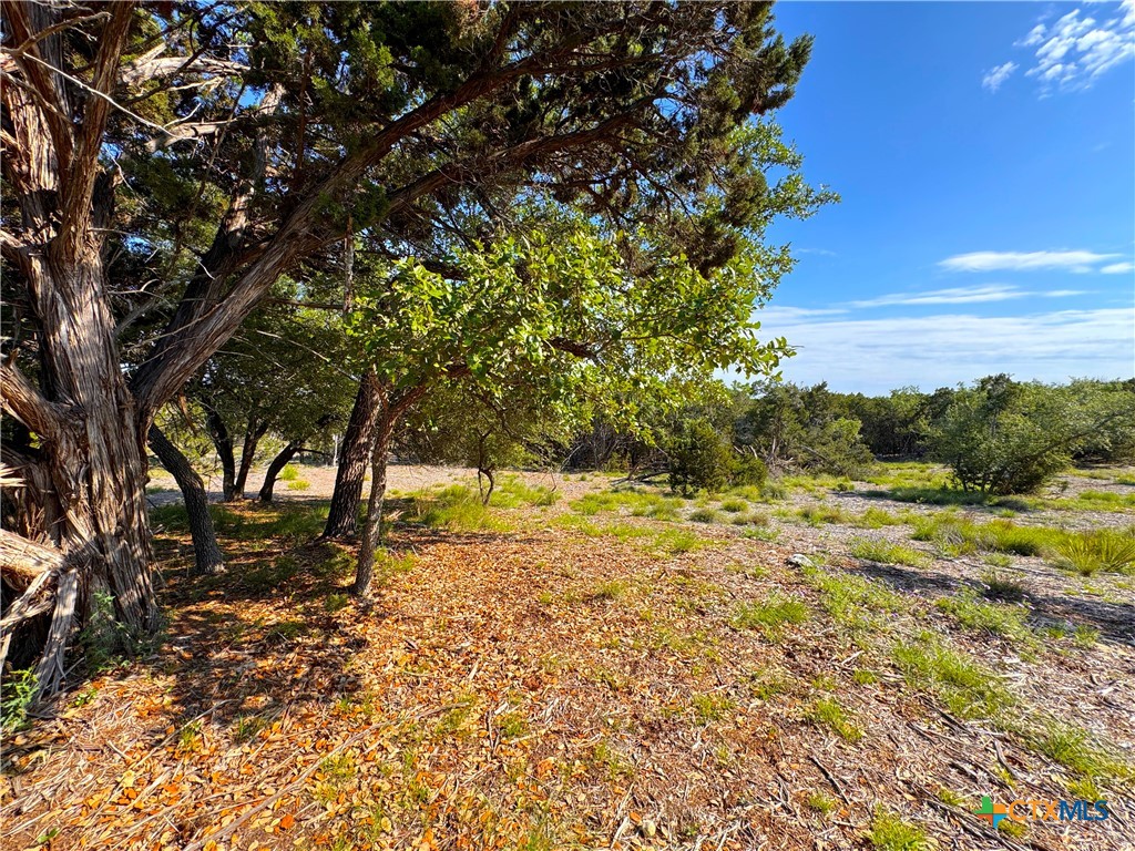 108 Sendera Way Property Photo 8