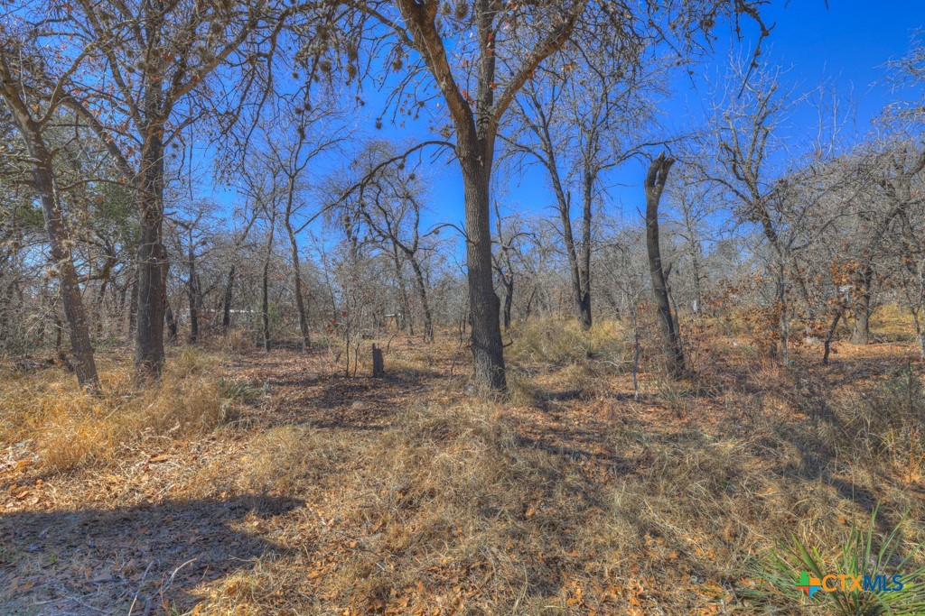 23115 Pocahontas Property Photo 17