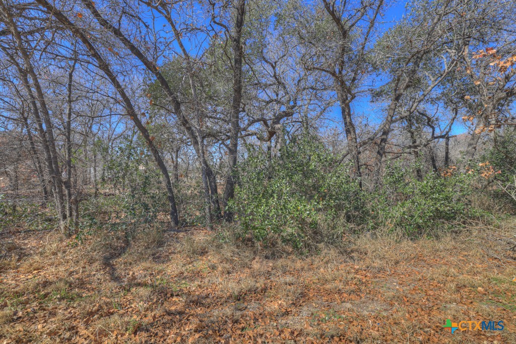 23115 Pocahontas Property Photo 18