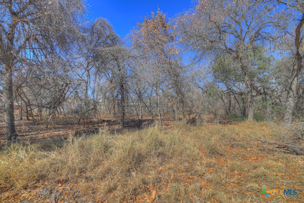23115 Pocahontas Property Photo 19