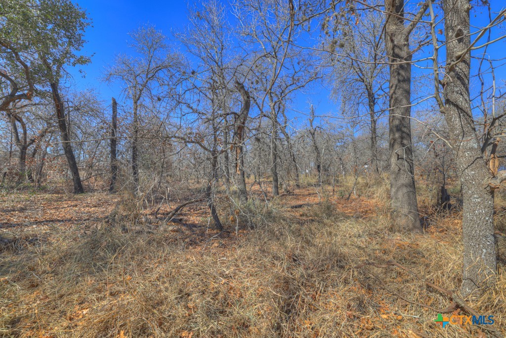 23115 Pocahontas Property Photo 20