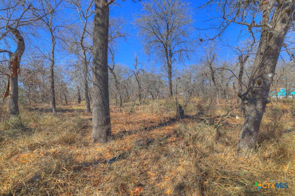 23115 Pocahontas Property Photo 21