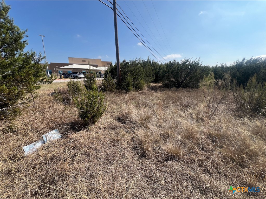 5500 Rose Garden Loop Drive Property Photo 7