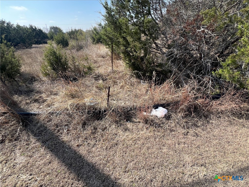 5500 Rose Garden Loop Drive Property Photo 8