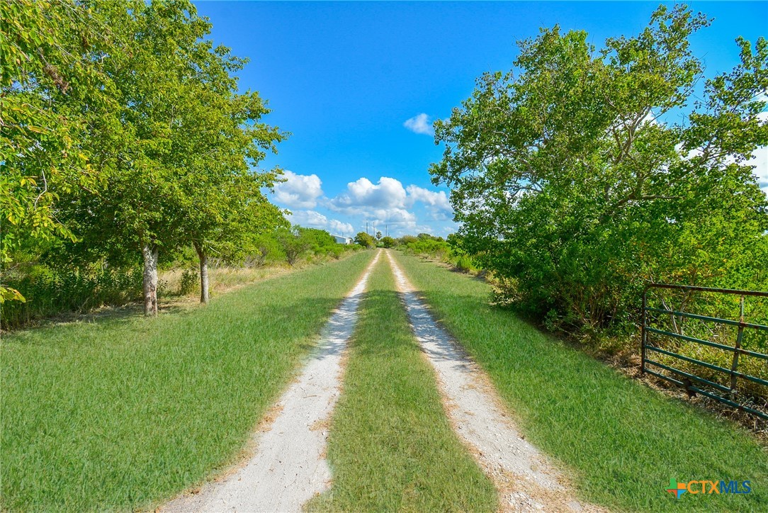 3364 County Road 476 Property Photo 4