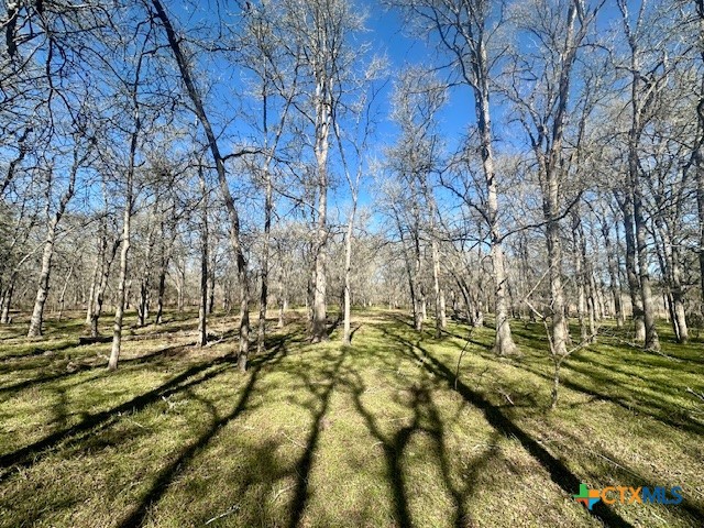 Tbd Cr 412 Property Photo 6