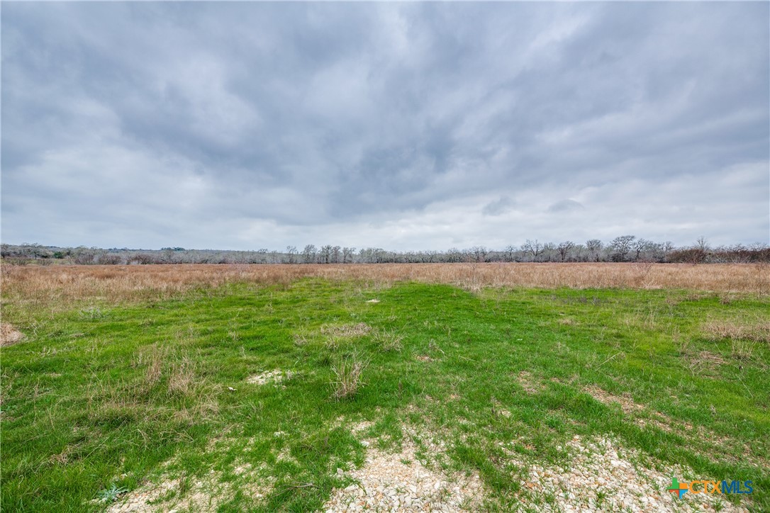Tbd Corner Of Us Highway 90a And Fm 2091 Property Photo 7