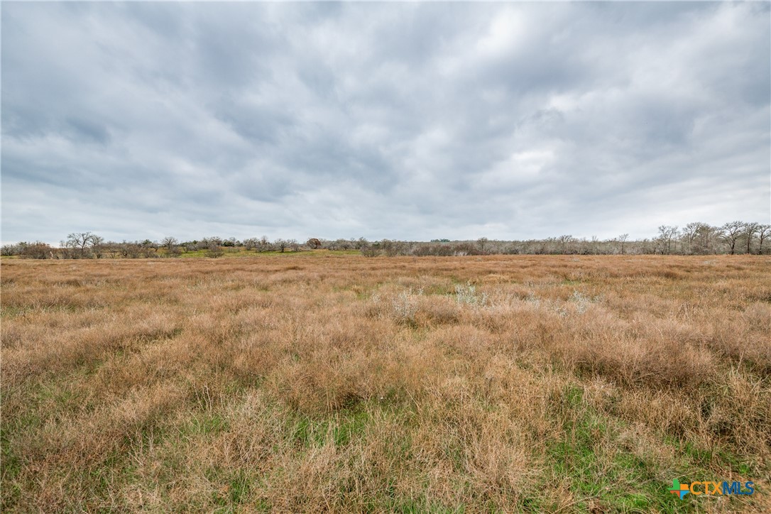 Tbd Corner Of Us Highway 90a And Fm 2091 Property Photo 8