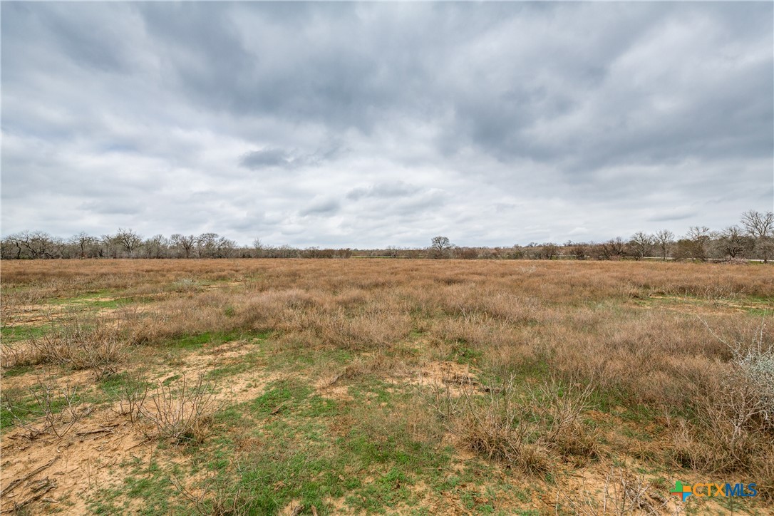 Tbd Corner Of Us Highway 90a And Fm 2091 Property Photo 9