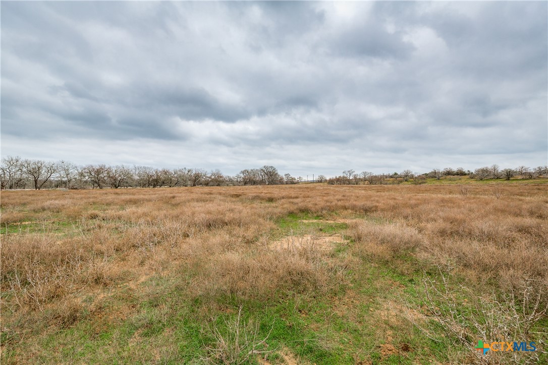 Tbd Corner Of Us Highway 90a And Fm 2091 Property Photo 10