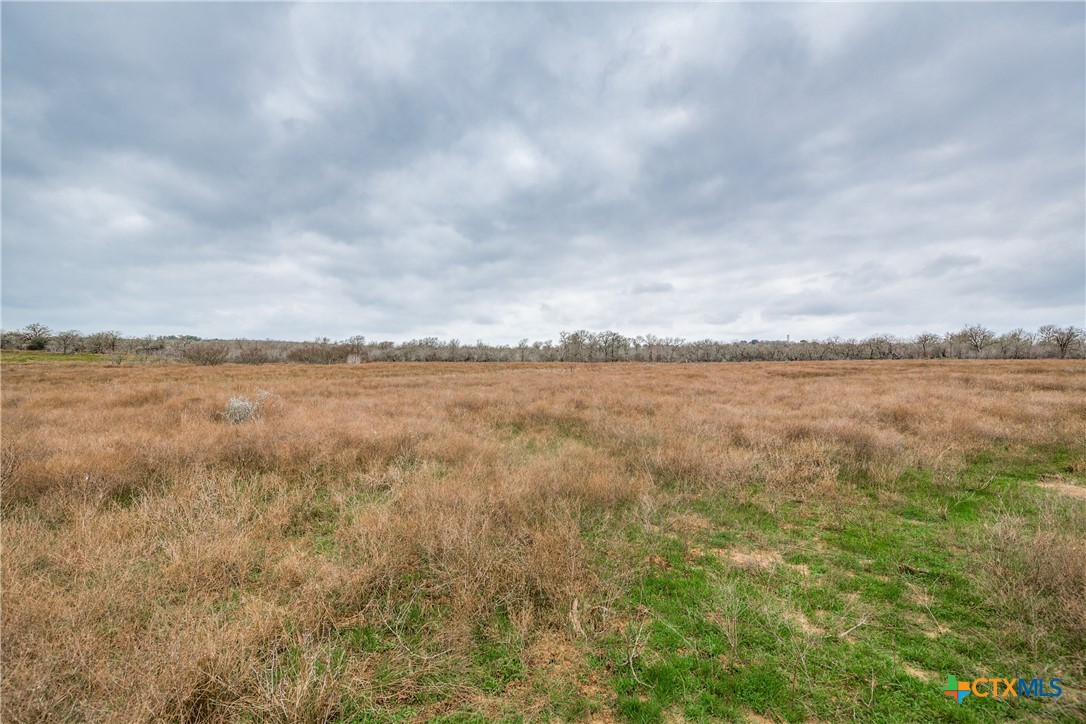 Tbd Corner Of Us Highway 90a And Fm 2091 Property Photo 11