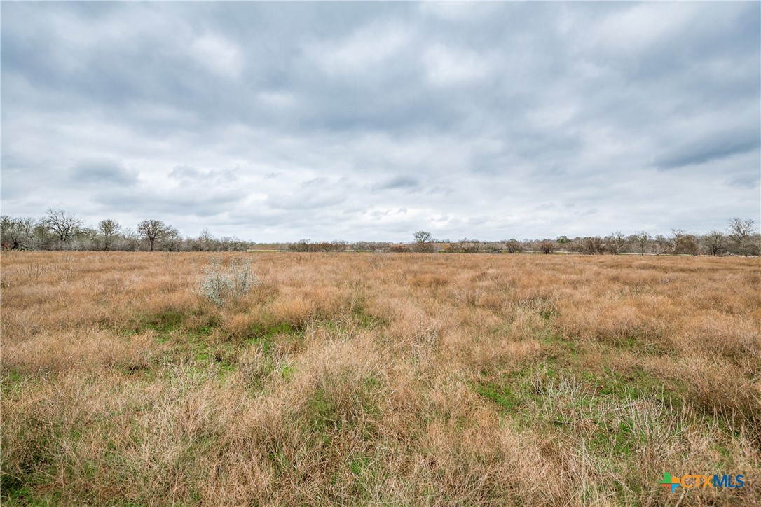 Tbd Corner Of Us Highway 90a And Fm 2091 Property Photo 13