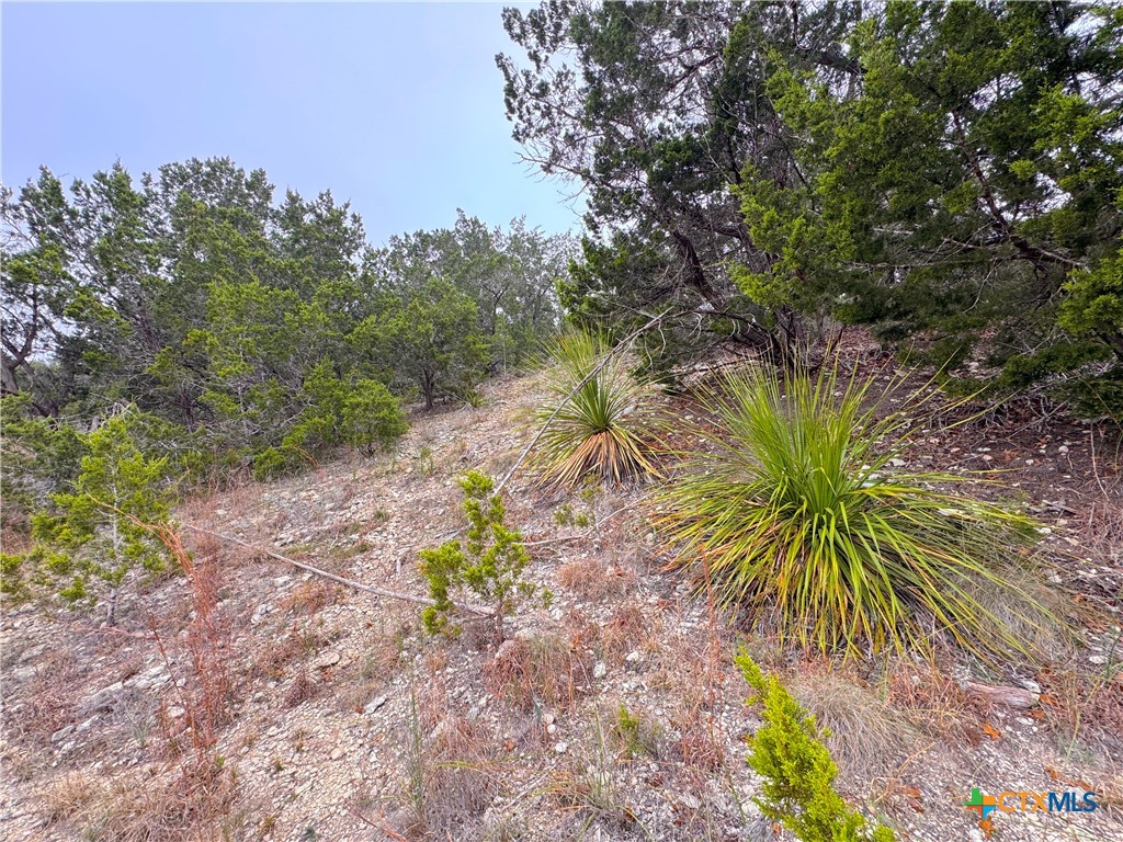 615 Caballo Trail Property Photo 3