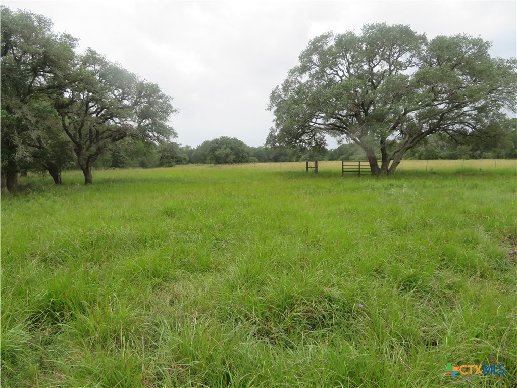 2846 Co Rd 18 Lavaca County Tx Property Photo 2