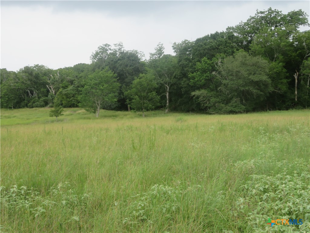 2846 Co Rd 18 Lavaca County Tx Property Photo 4