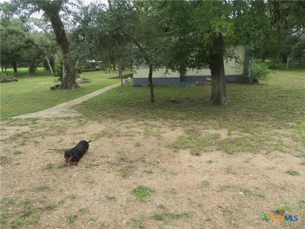 2846 Co Rd 18 Lavaca County Tx Property Photo 13