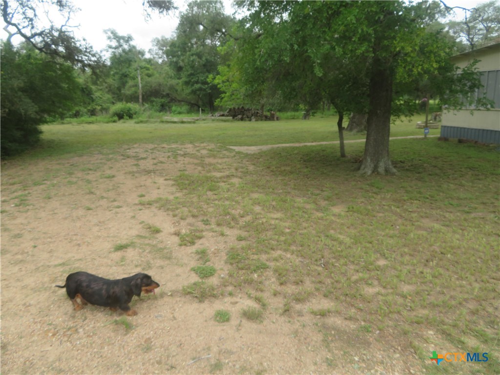 2846 Co Rd 18 Lavaca County Tx Property Photo 14