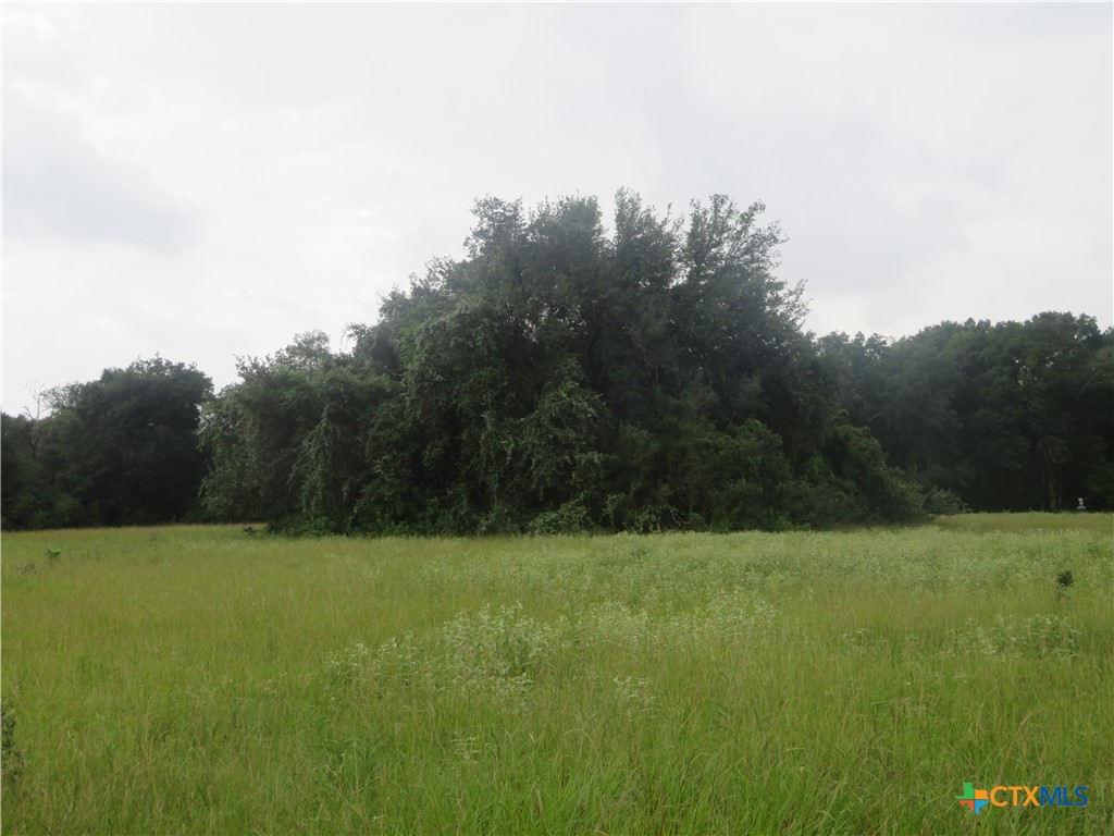 2846 Co Rd 18 Lavaca County Tx Property Photo 17