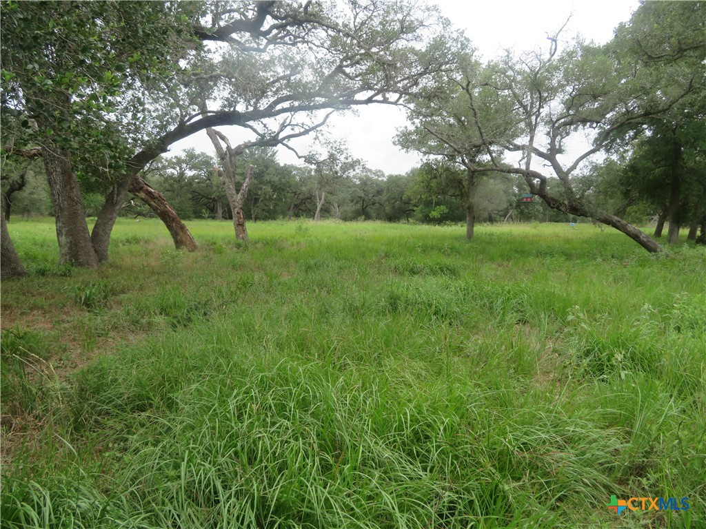 2846 Co Rd 18 Lavaca County Tx Property Photo 23