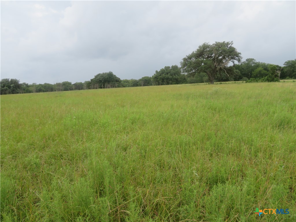 2846 Co Rd 18 Lavaca County Tx Property Photo 25