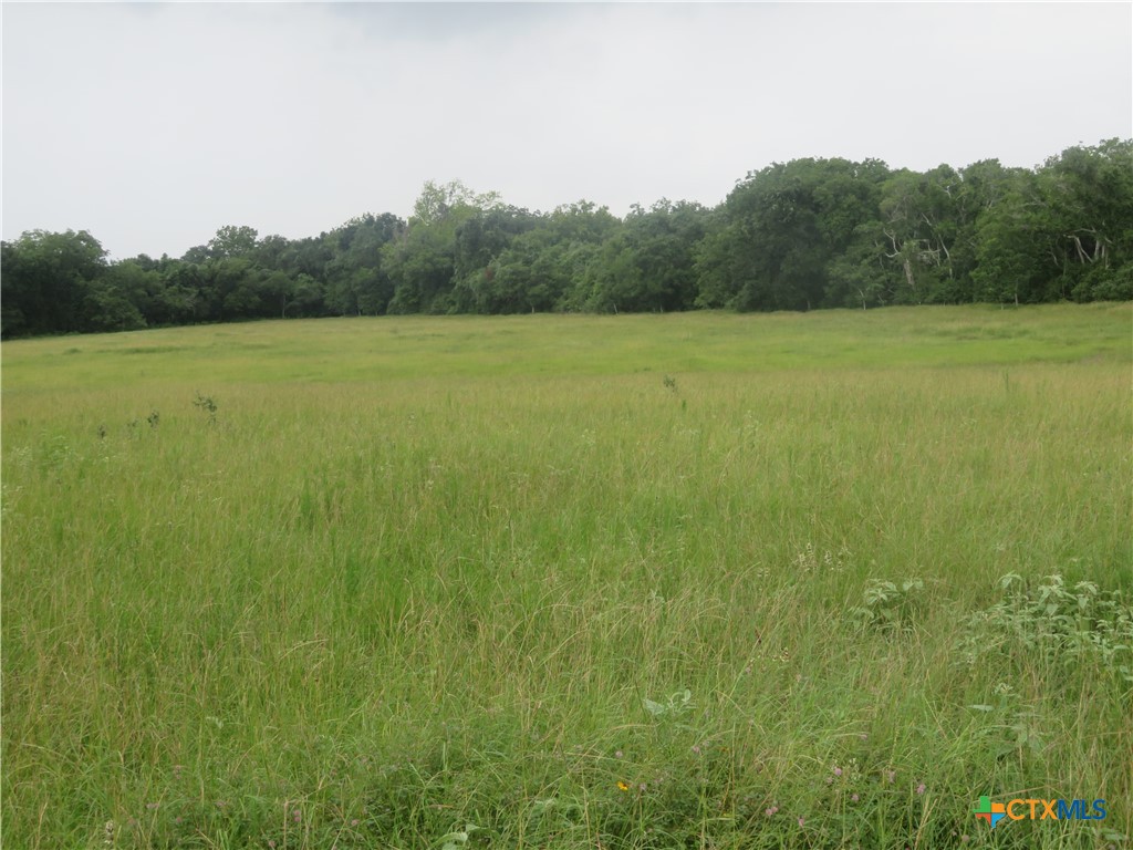 2846 Co Rd 18 Lavaca County Tx Property Photo 27