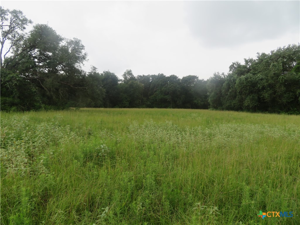 2846 Co Rd 18 Lavaca County Tx Property Photo 29