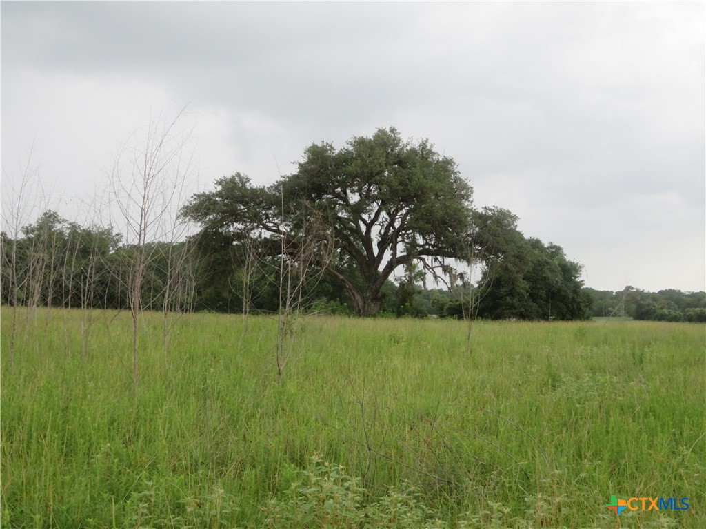 2846 Co Rd 18 Lavaca County Tx Property Photo 30