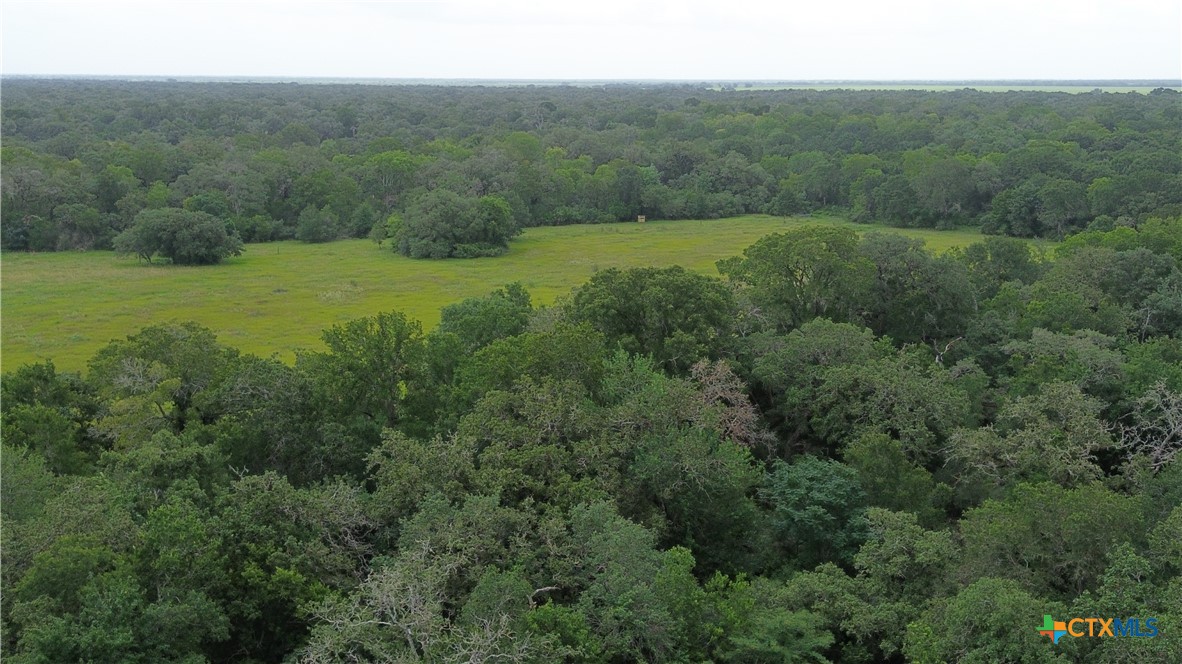 2846 Co Rd 18 Lavaca County Tx Property Photo 35