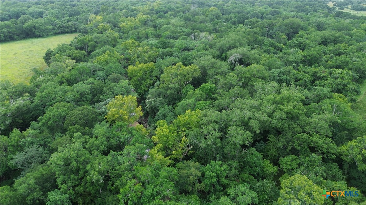 2846 Co Rd 18 Lavaca County Tx Property Photo 39