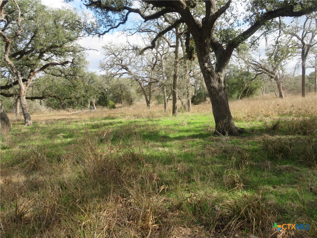2846 Co Rd 18 Lavaca County Tx Property Photo 45