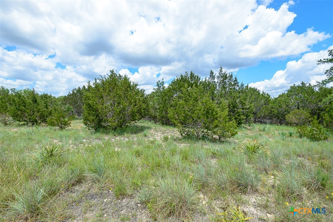 11515 FM 2657 Property Photo 1