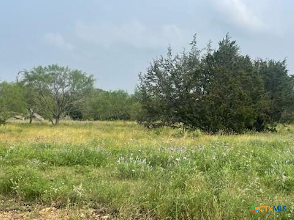 #175 Cross Timber Ranch Property Photo 1
