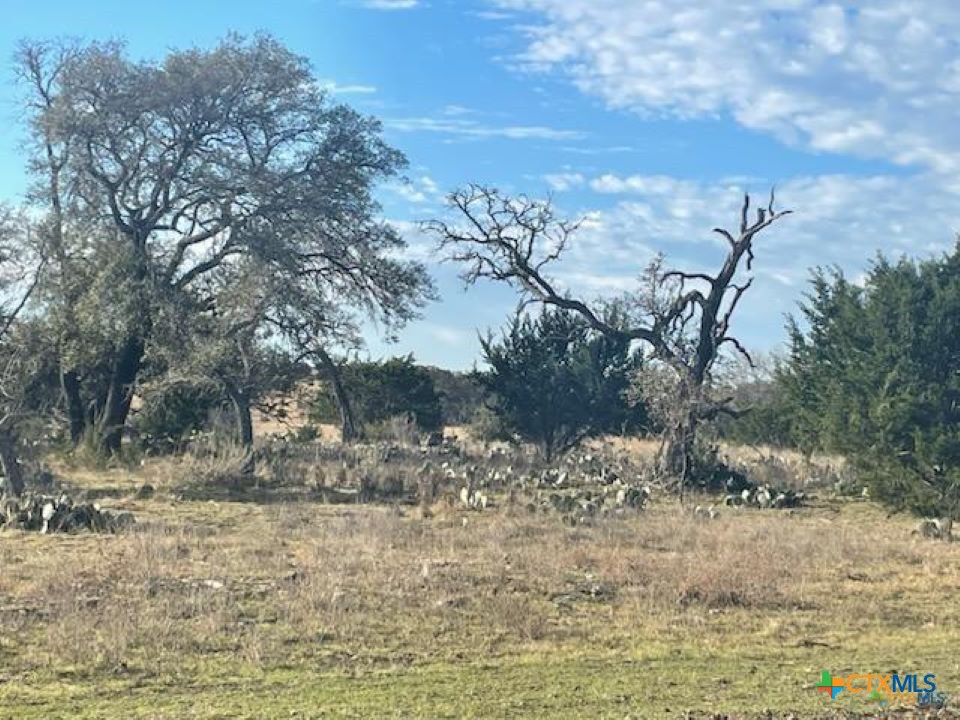 #175 Cross Timber Ranch Property Photo 13