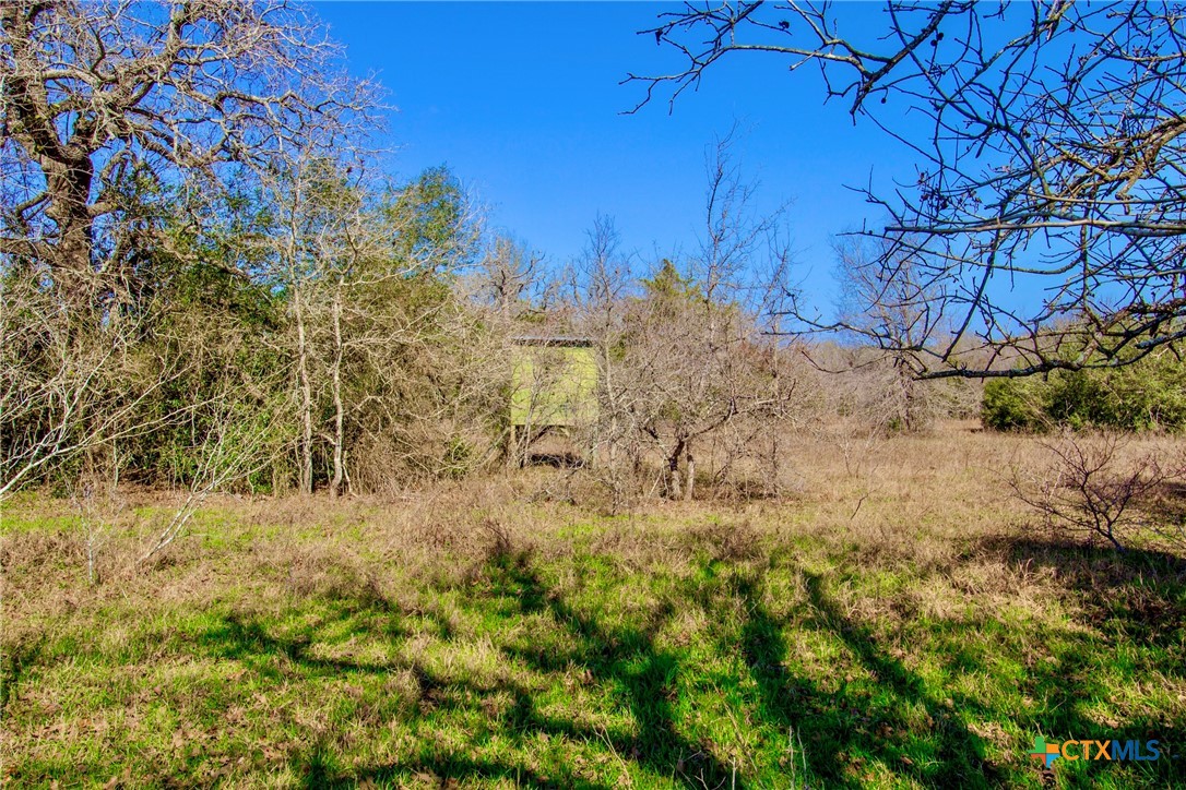 464 County Road 389 Property Photo 5
