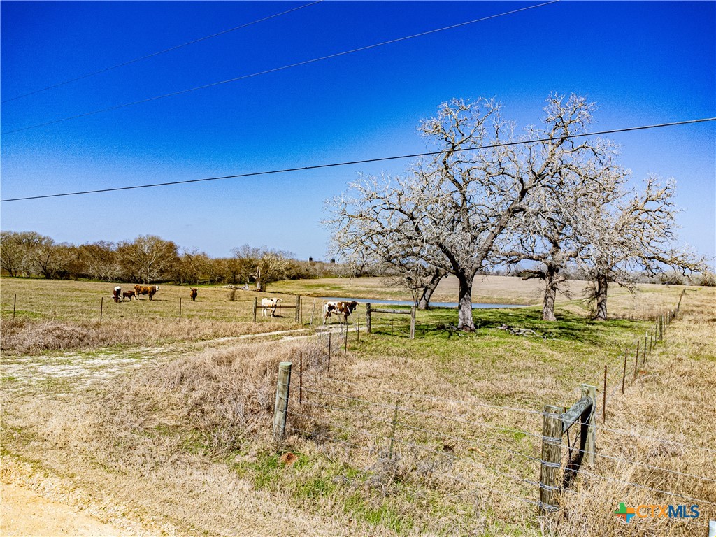 464 County Road 389 Property Photo 14