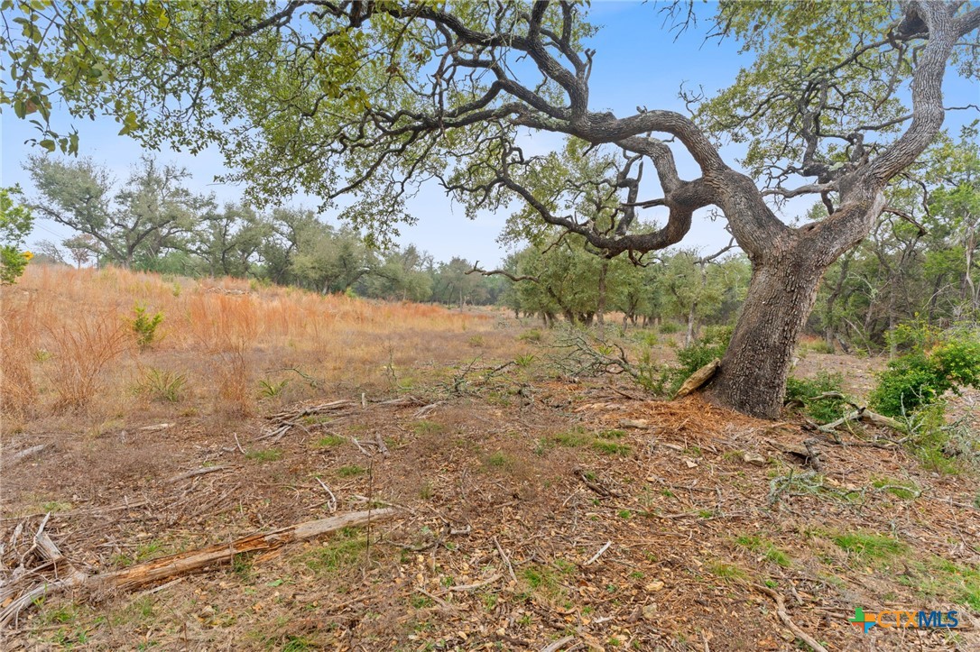 301 Lonesome Trail Property Photo 2