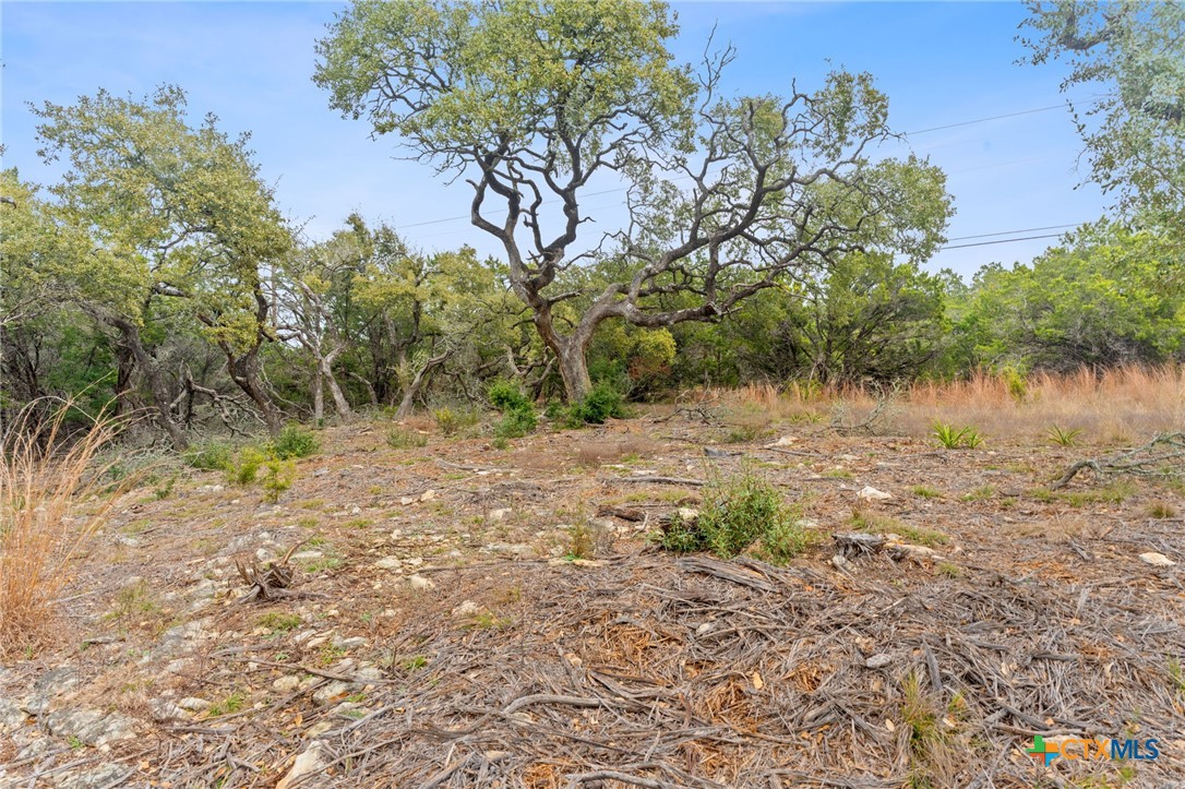 301 Lonesome Trail Property Photo 3