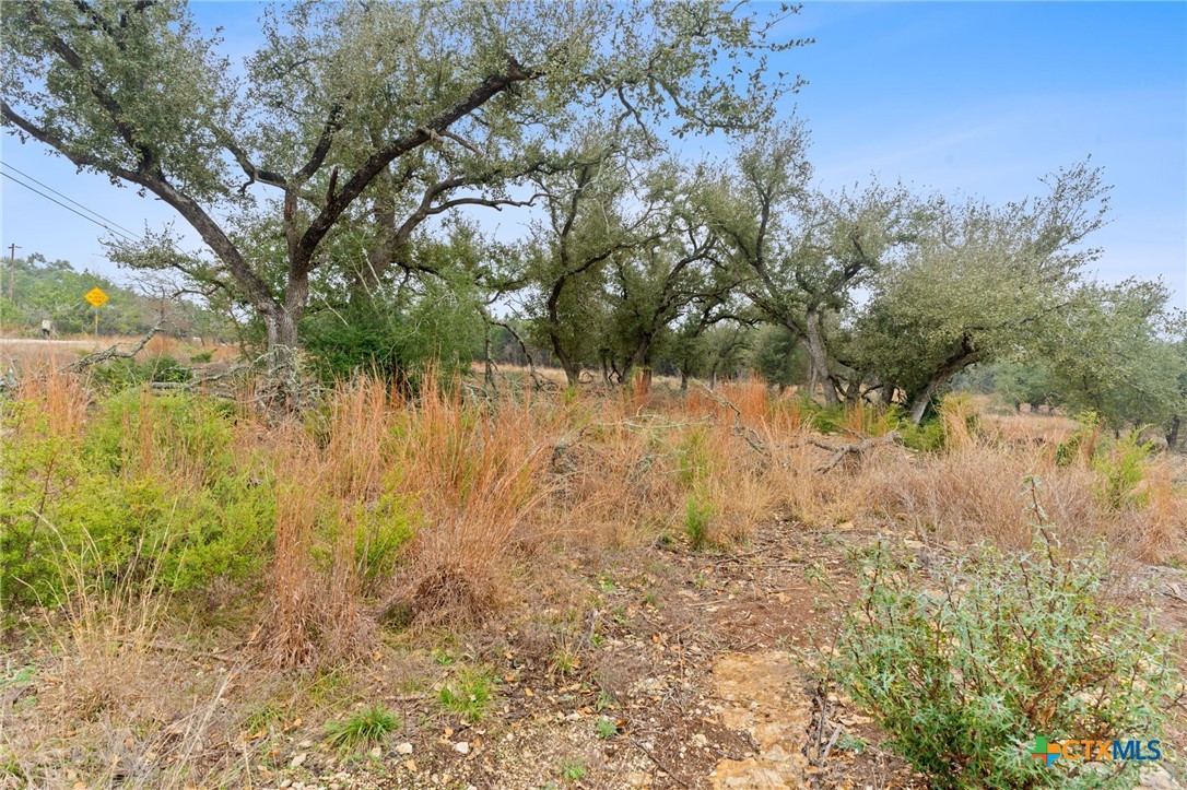 301 Lonesome Trail Property Photo 4