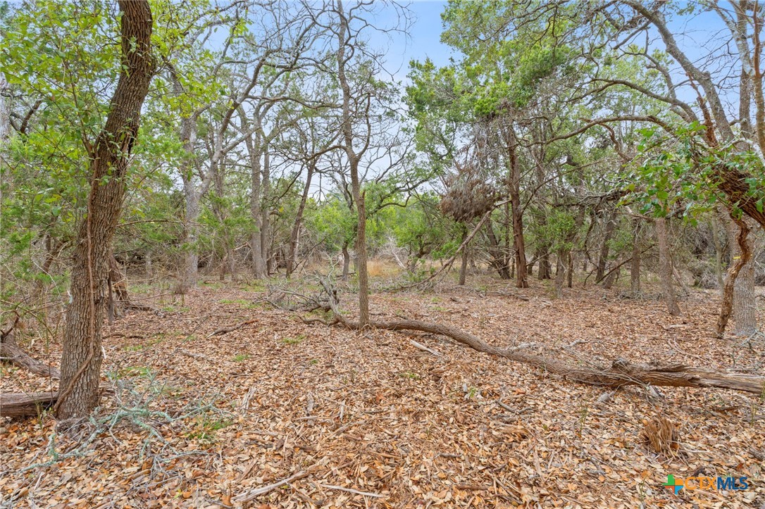 301 Lonesome Trail Property Photo 7