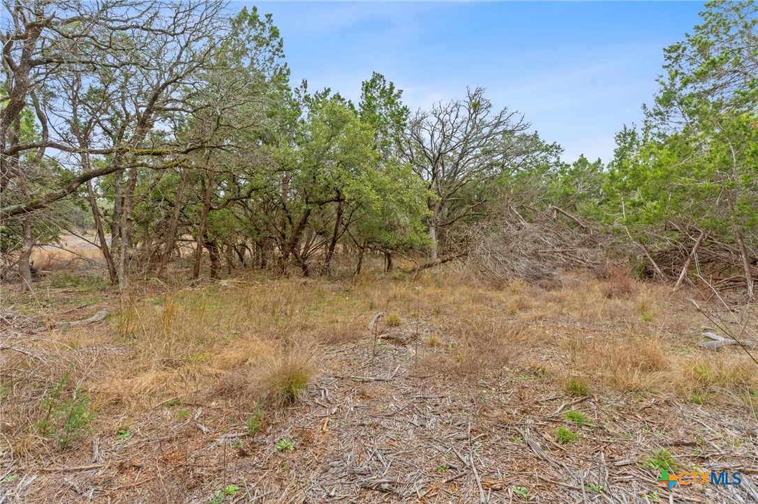 301 Lonesome Trail Property Photo 8