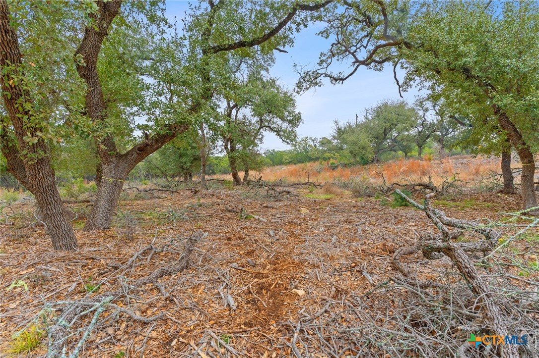 301 Lonesome Trail Property Photo 9