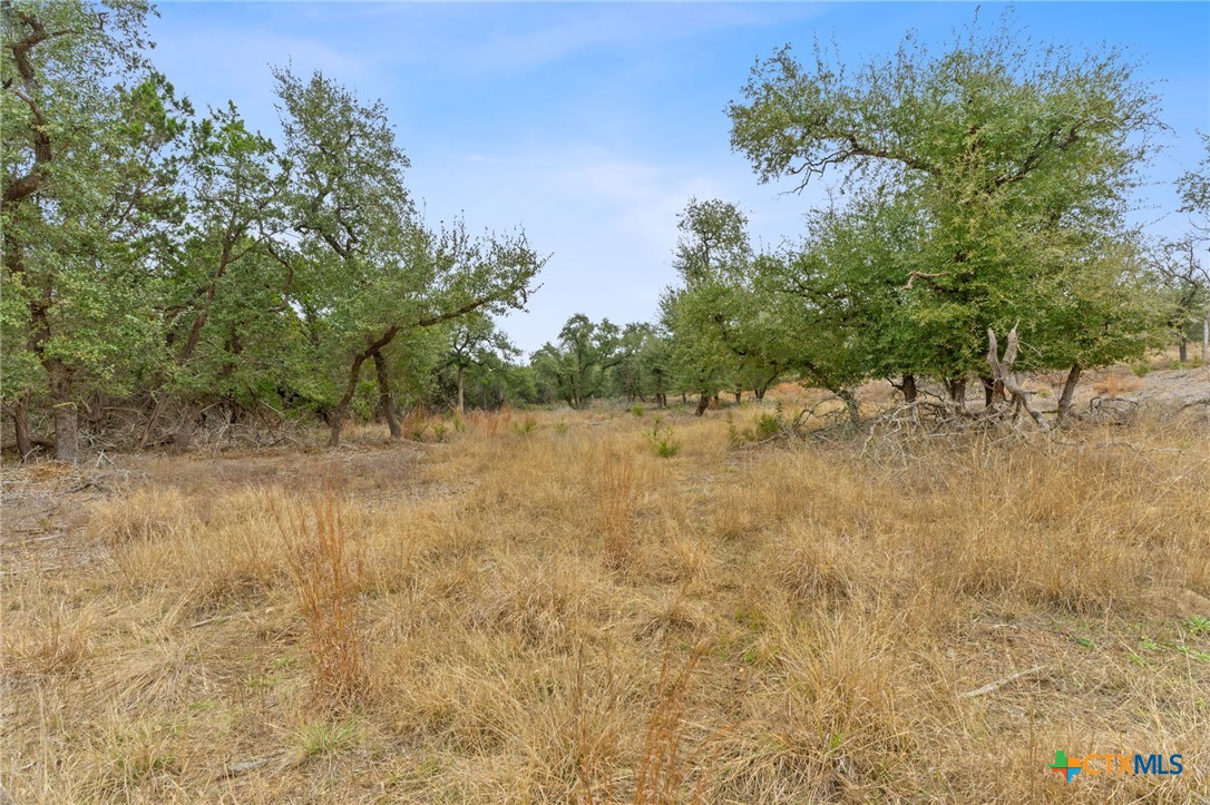 301 Lonesome Trail Property Photo 10