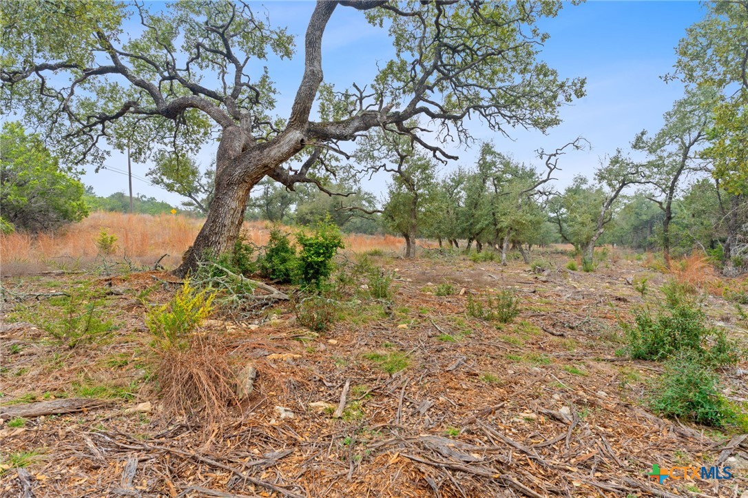 301 Lonesome Trail Property Photo 11